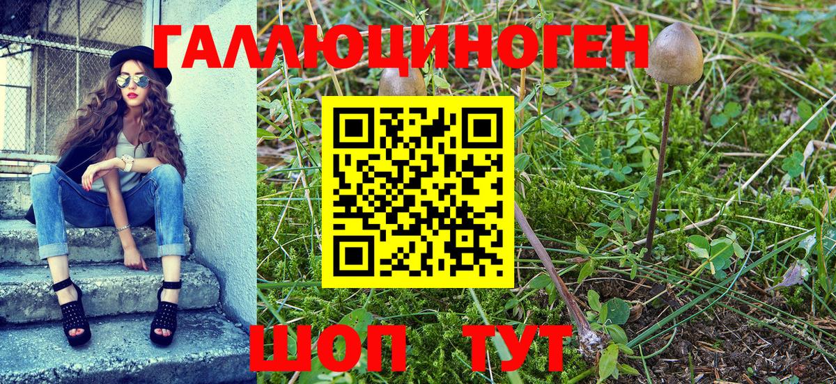 Кумертау  Псилоцибиновые грибы MAGIC MUSHROOMS  Вход с VPN 